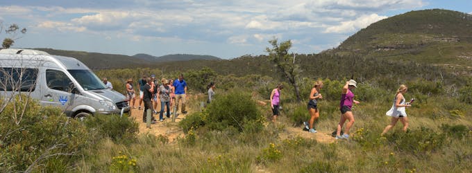 Частная экскурсия по Голубым горам на целый день с гидом из Сиднея